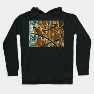 Black Billed Cuckoo Hoodie